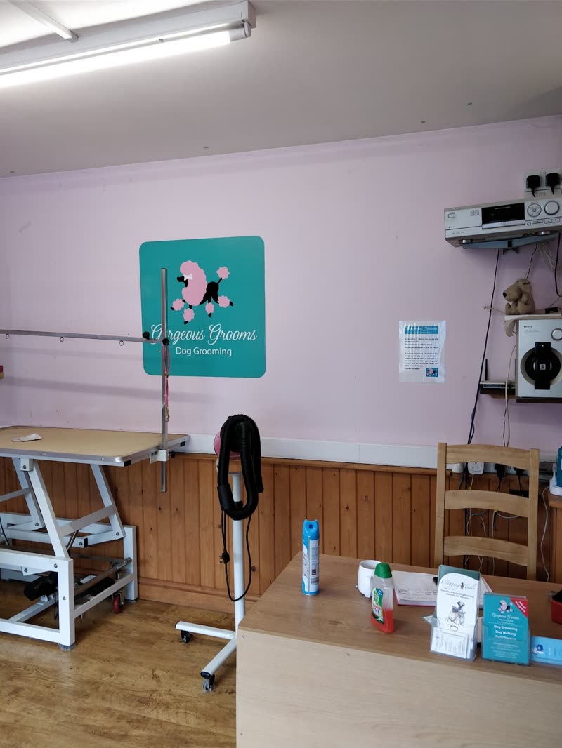 Inside the Gorgeous Grooms salon: pink wall, grooming table, dryer and shelving